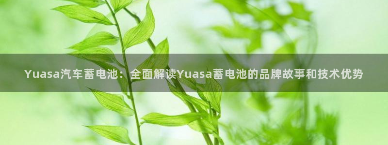 优发国际安卓版下载安装：Yuasa汽车蓄电池：全面解读Yuasa蓄电池的品牌故事和技术优势