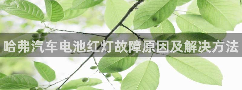 优发国际登陆